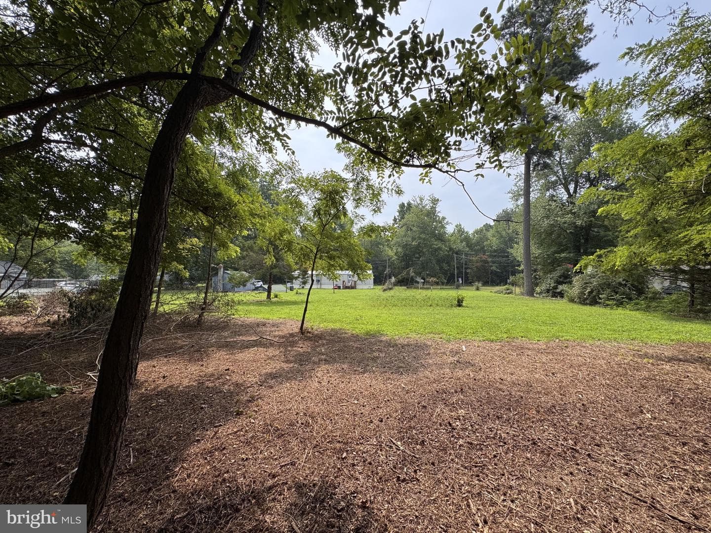 461 Long Point Road photo 5