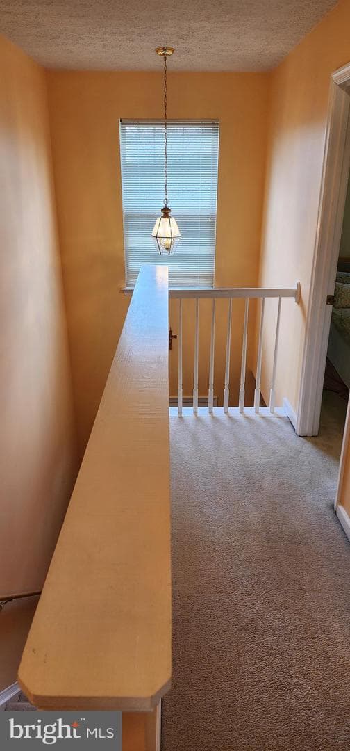 2945 Sorrell Court photo 20