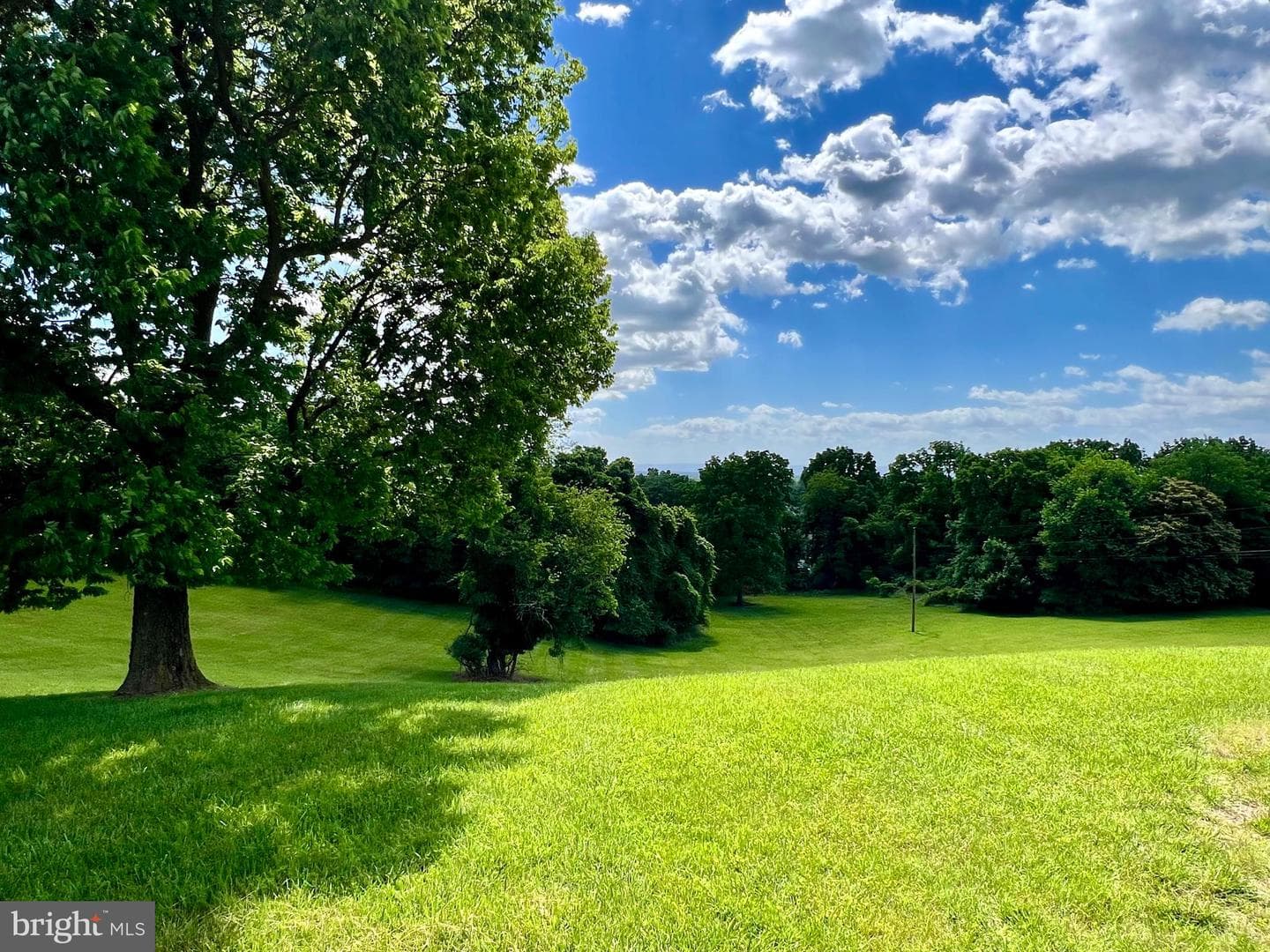 465 Fairmont Avenue photo 45