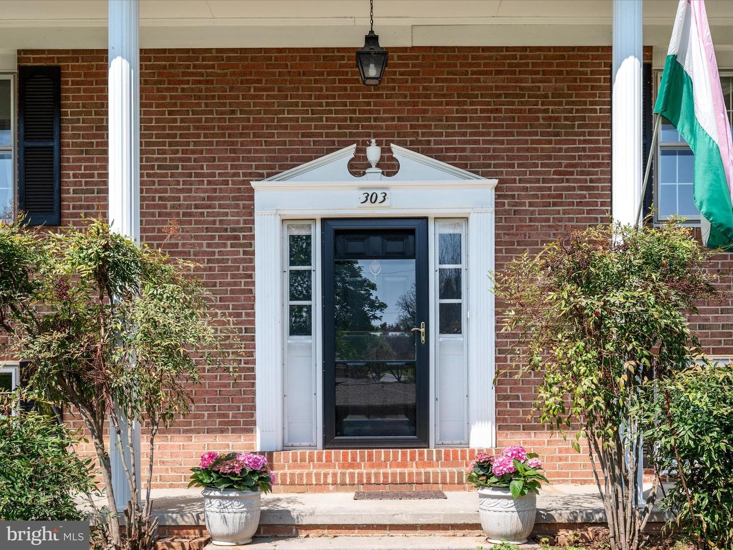 303 Walker Street photo 5