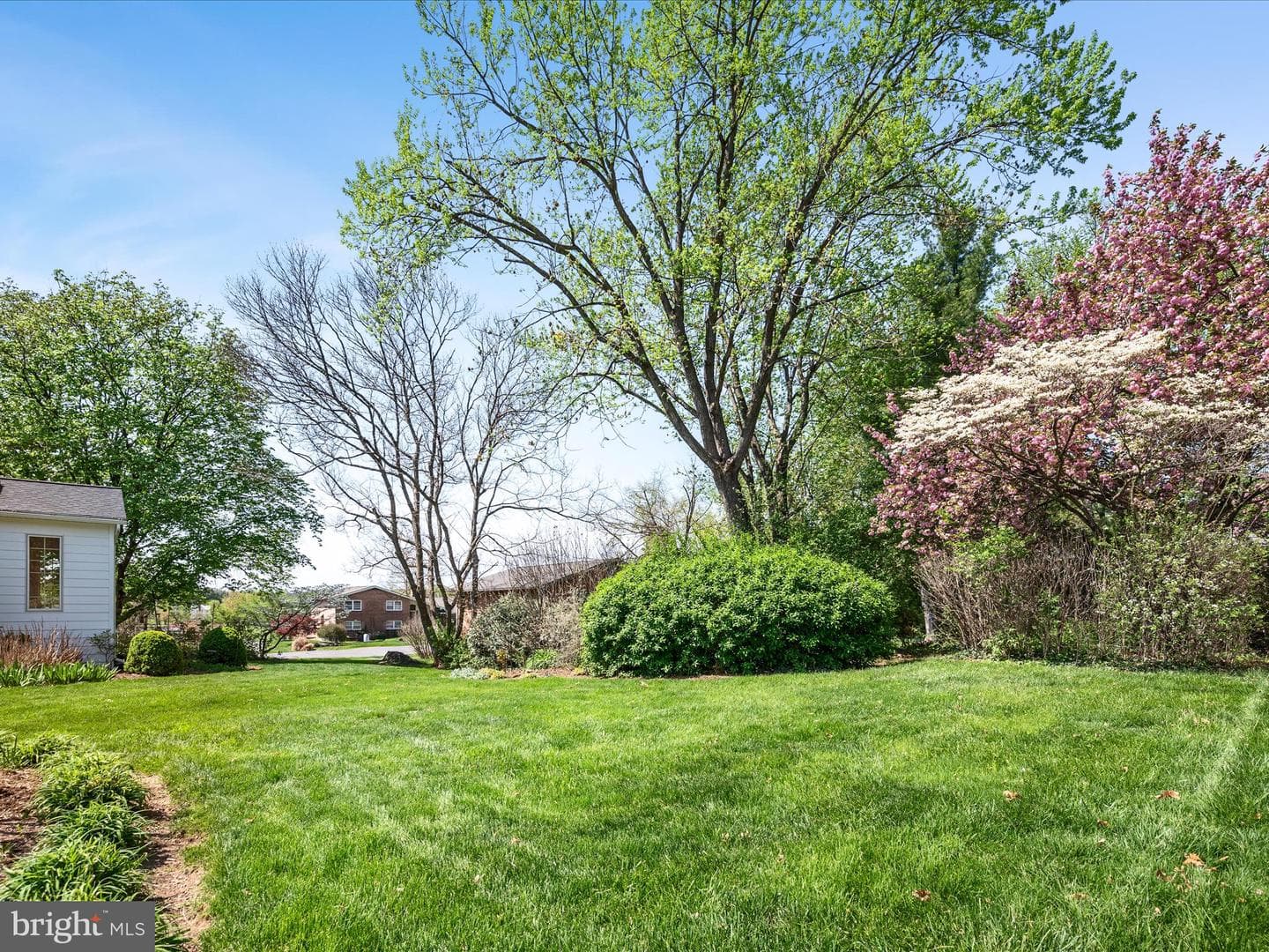 303 Walker Street photo 51