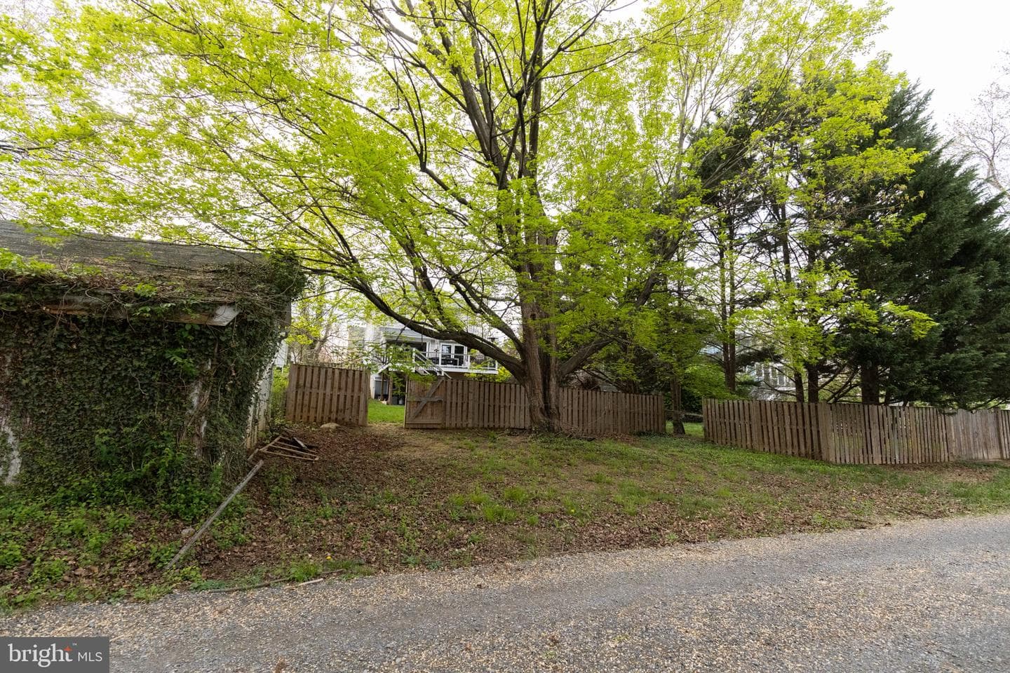 256 Parkway Street photo 34