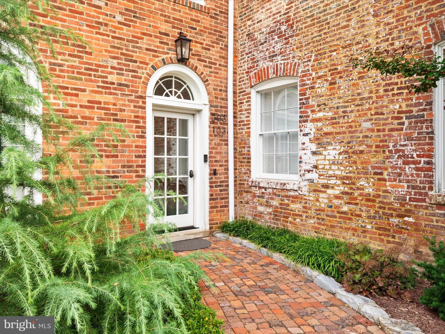 411 N Loudoun Street #203 photo 4