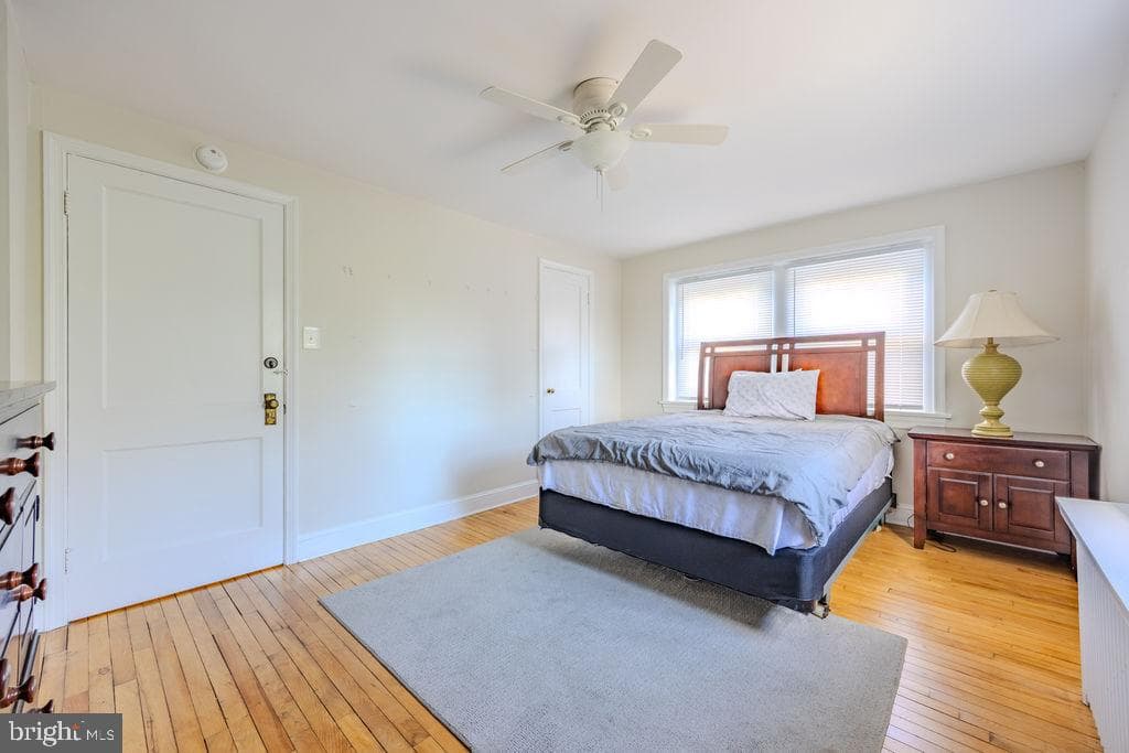 10-12 W Cecil Street photo 53