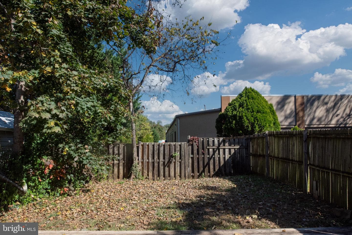 26 Jackson Avenue photo 66