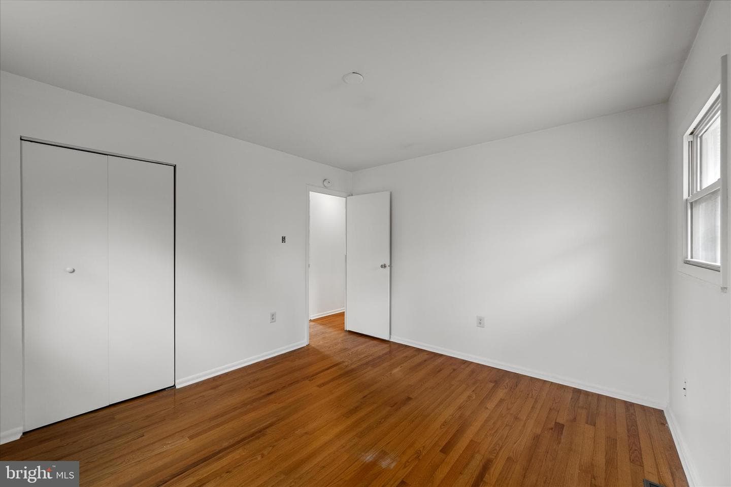 127 Shirley Street photo 17