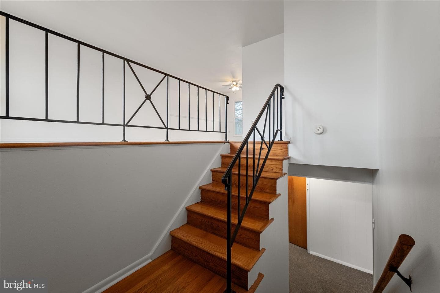 127 Shirley Street photo 6