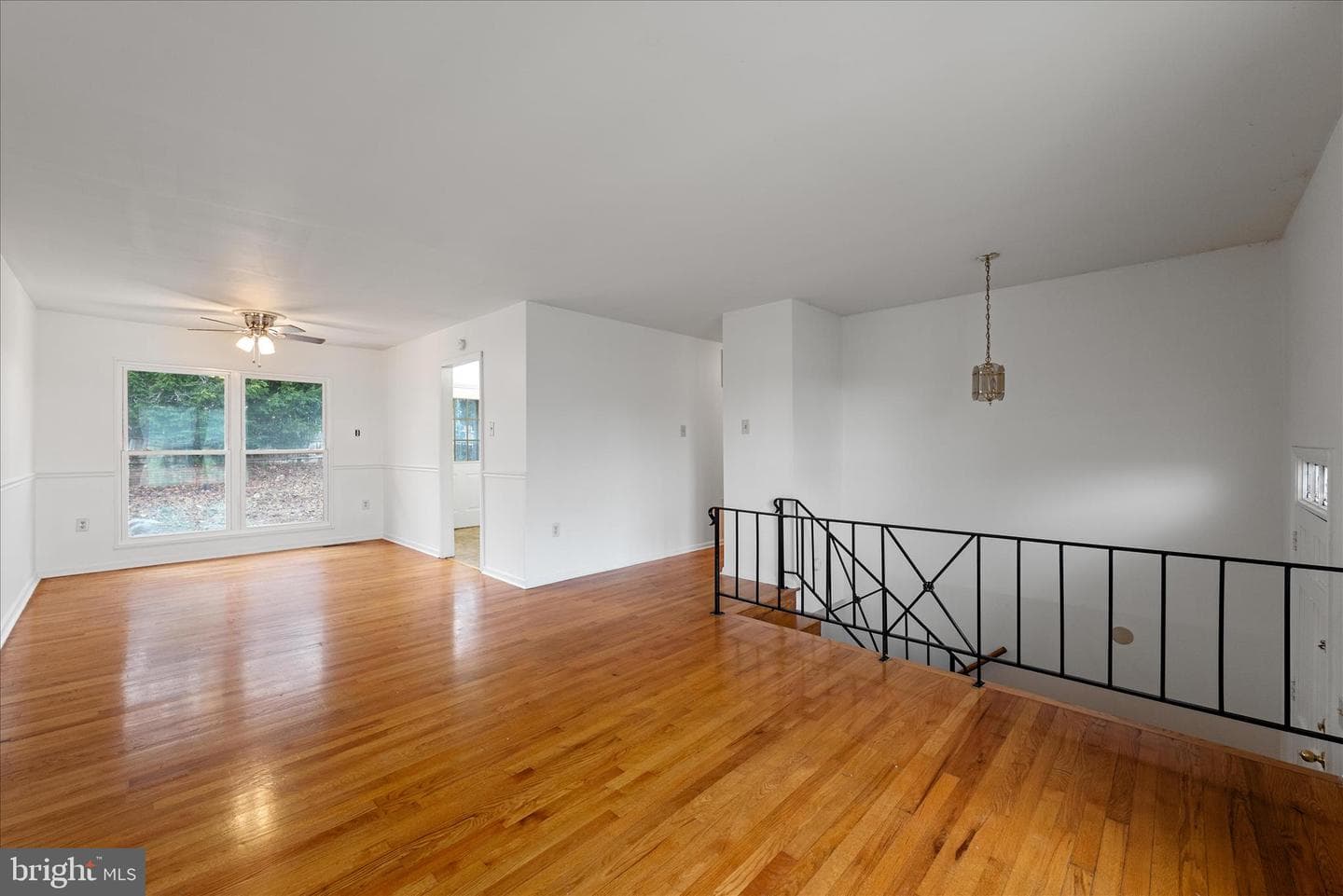 127 Shirley Street photo 7