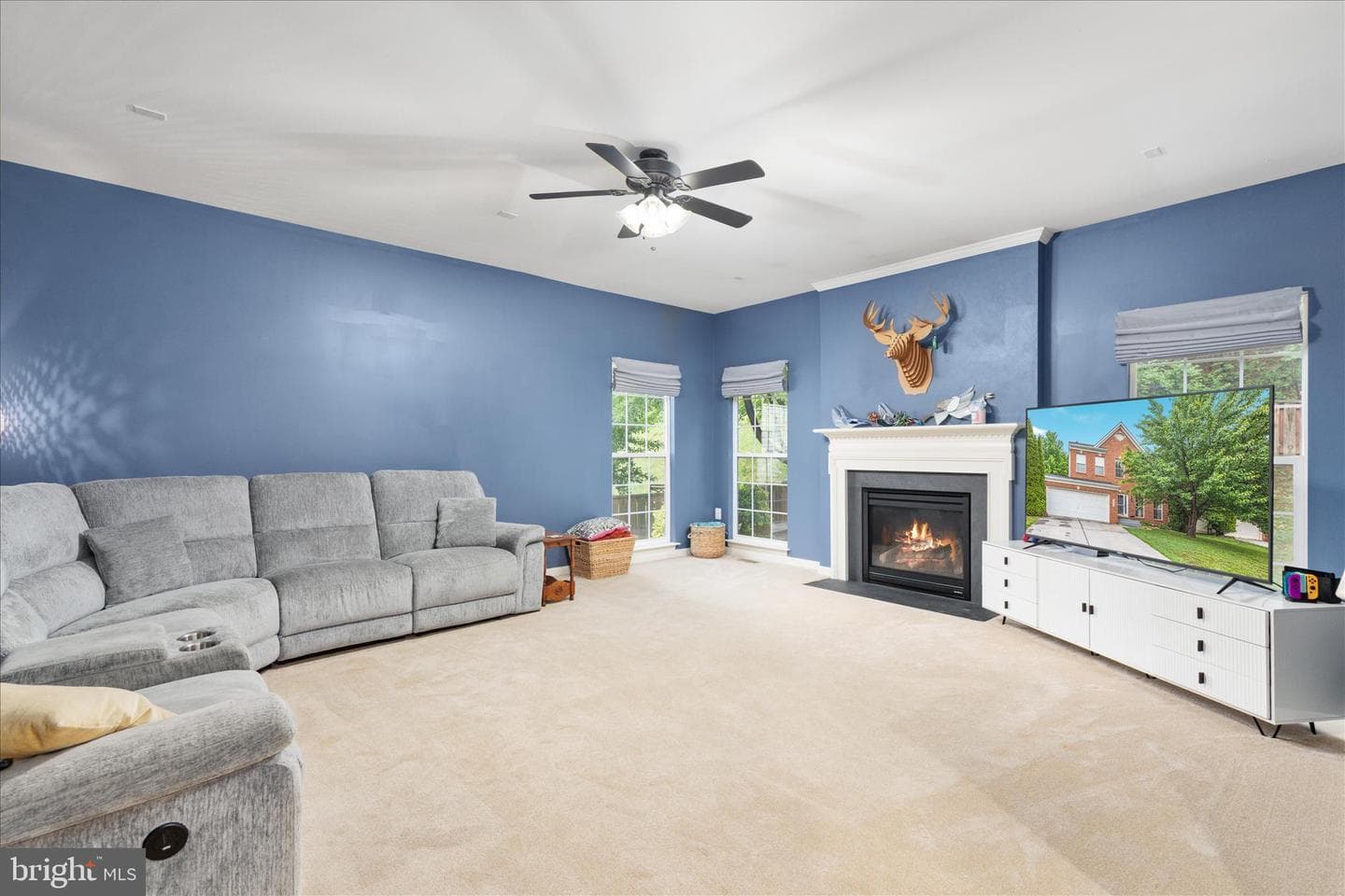 660 Beehive Way photo 3