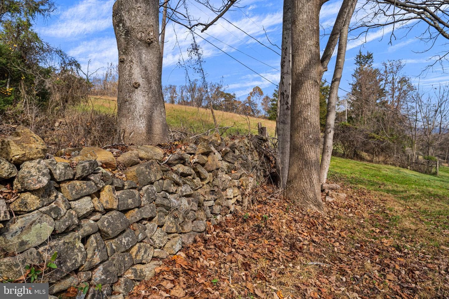 1528 Gooney Manor Loop photo 77