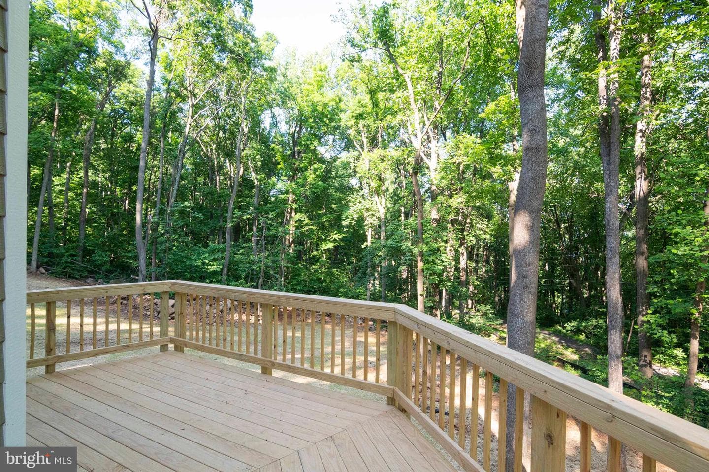 4421 Blue Mountain photo 43