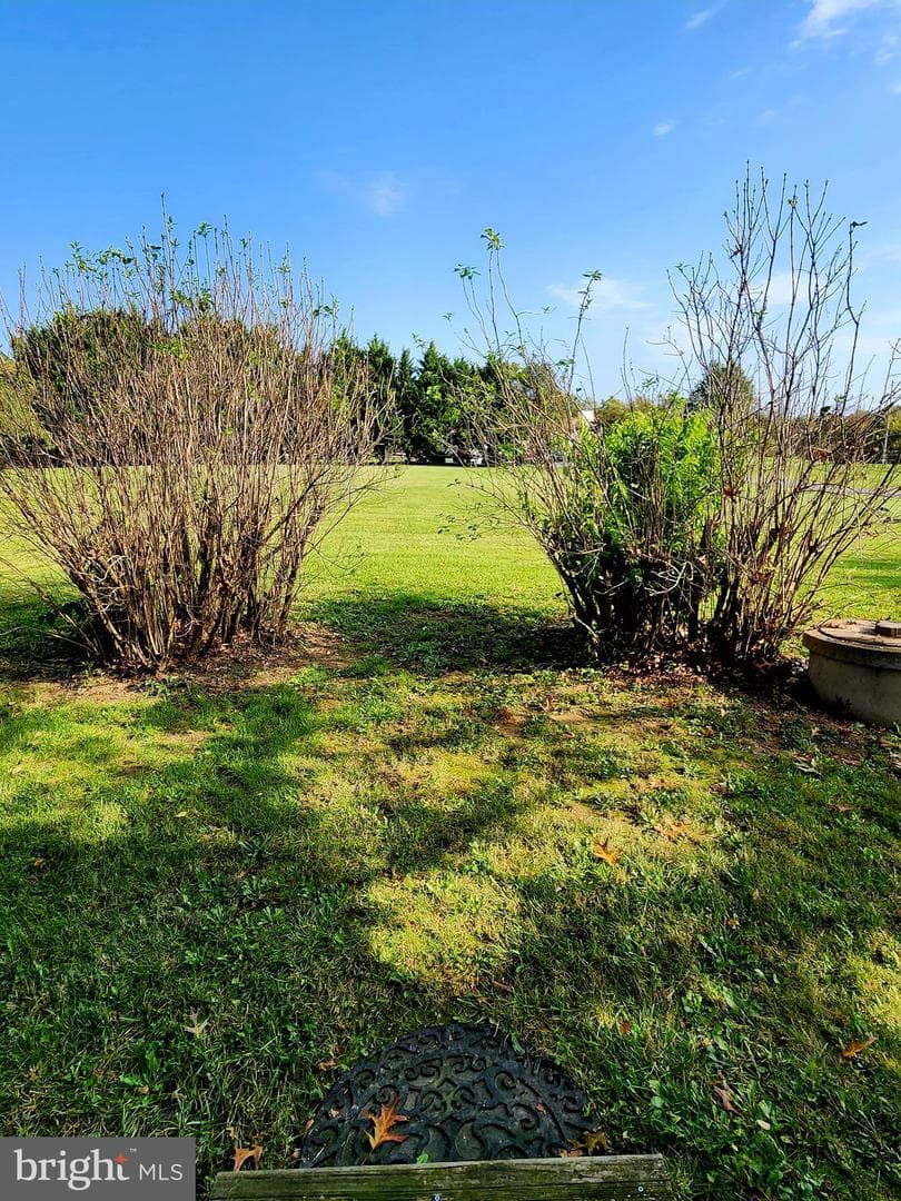 167 Robinson Road photo 22