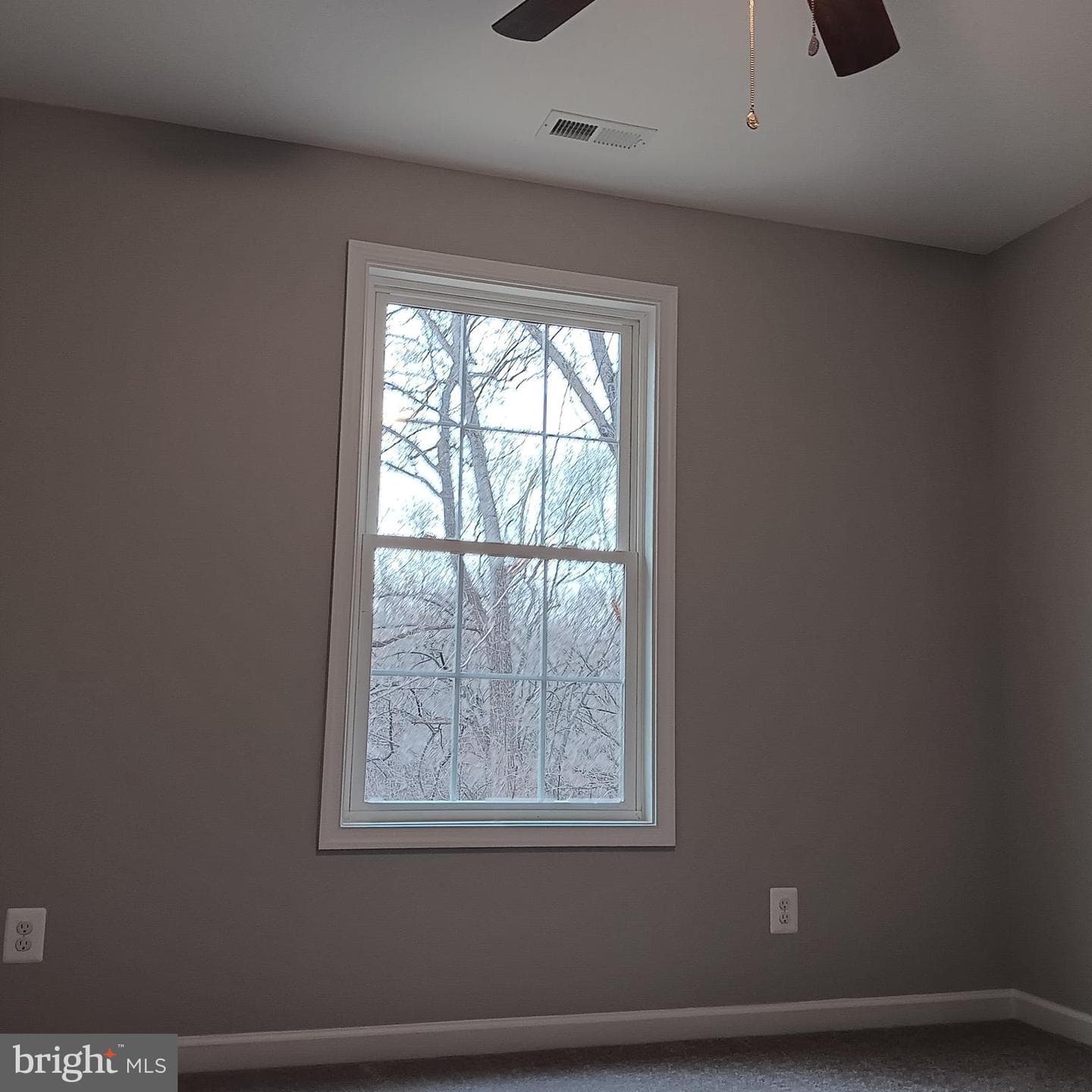 125 Apple Way photo 37
