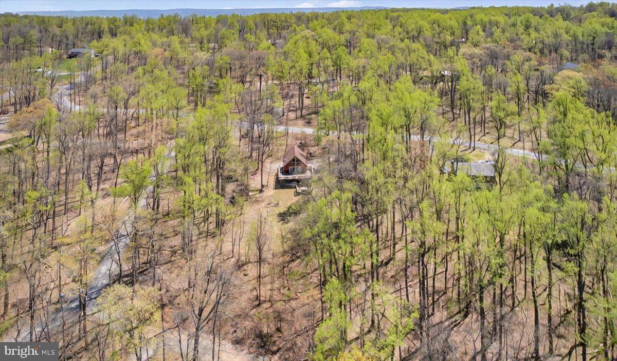 253 Tomahawk Way photo 29