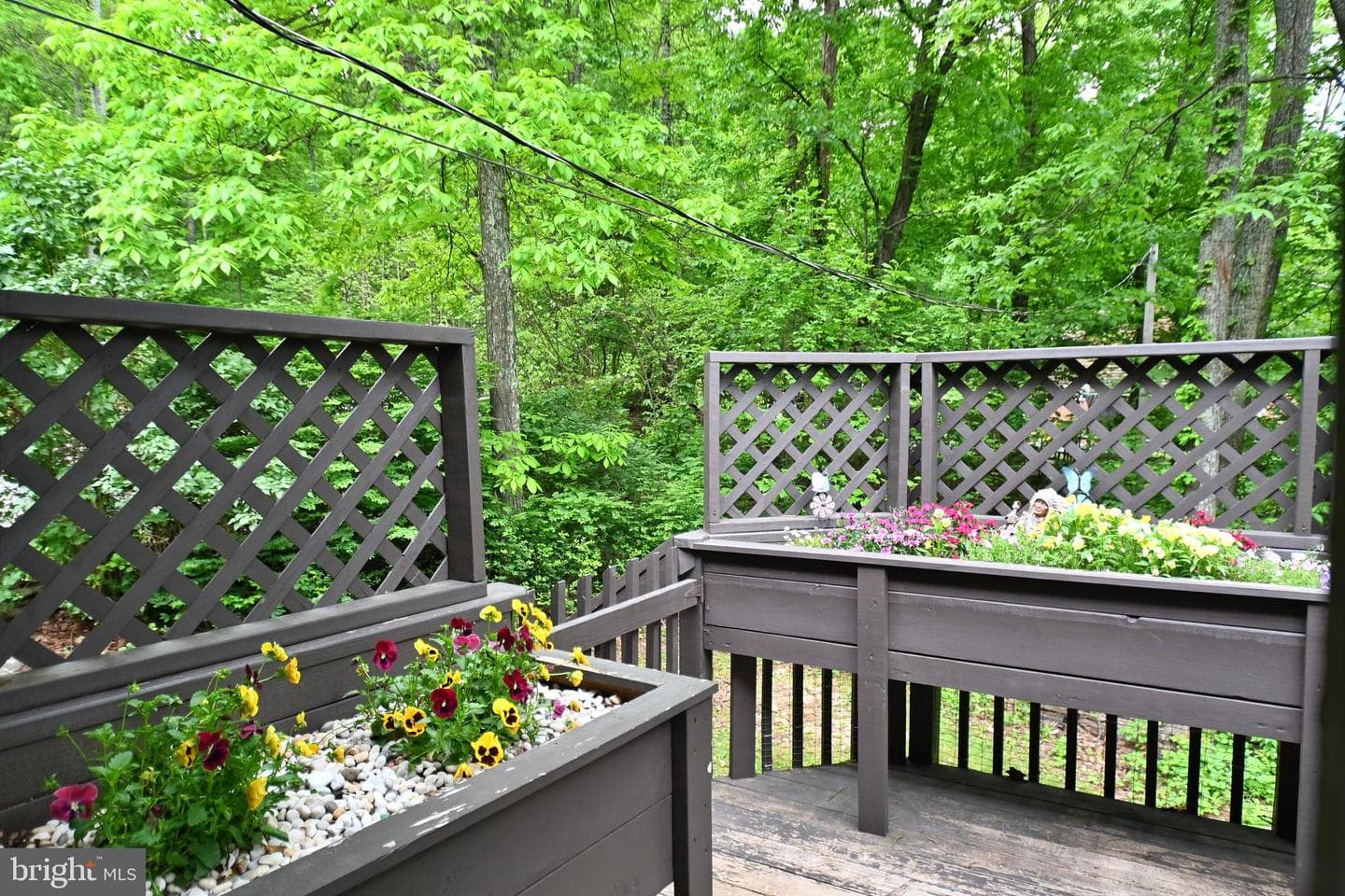 359 Old Linden Road photo 11