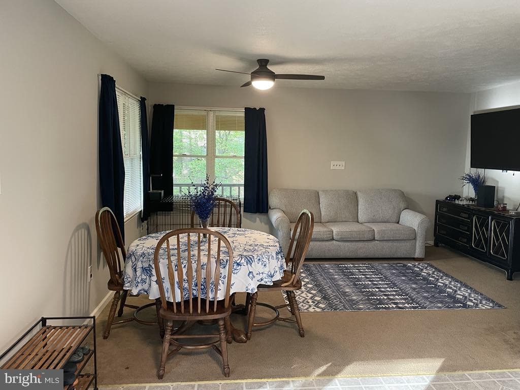 359 Old Linden Road photo 48