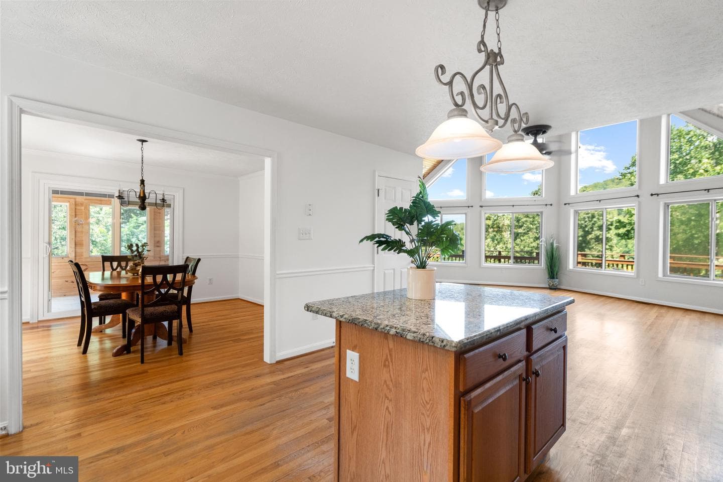 2037 Buck Mountain Road photo 13