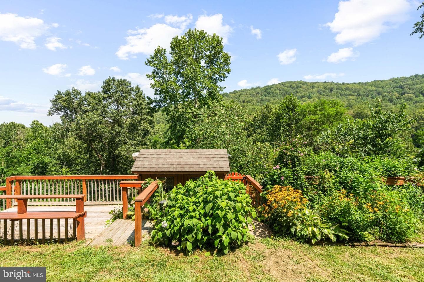 2037 Buck Mountain Road photo 35