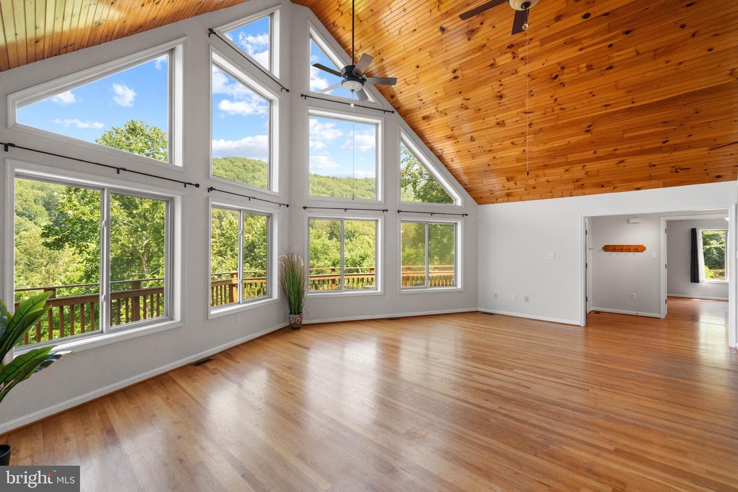 2037 Buck Mountain Road photo 4