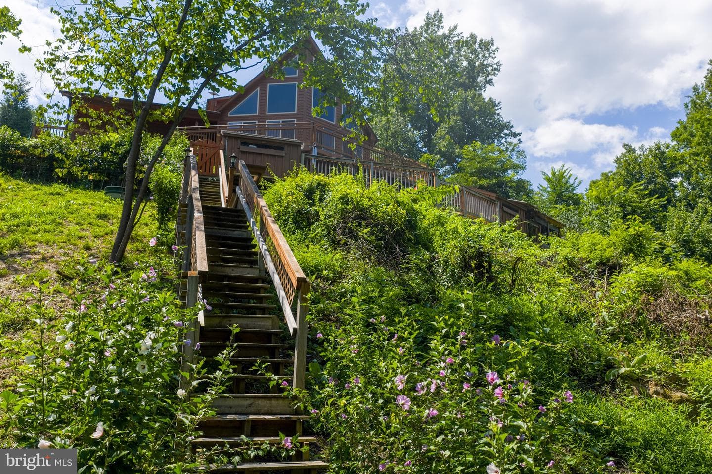 2037 Buck Mountain Road photo 48