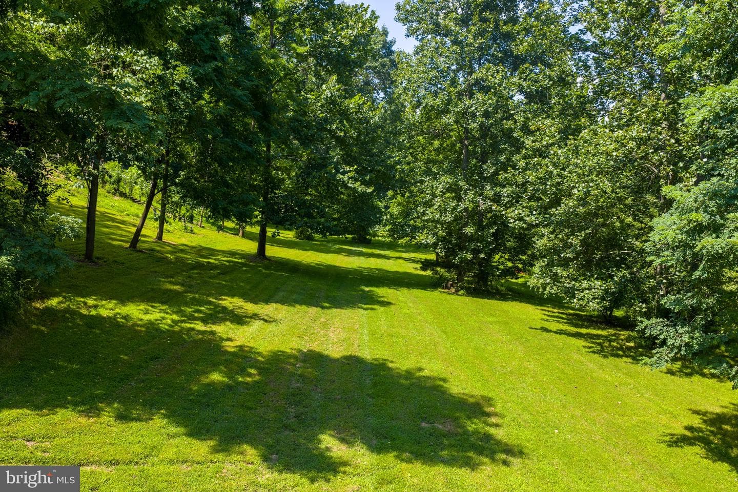 2037 Buck Mountain Road photo 49