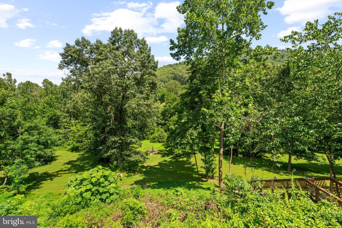 2037 Buck Mountain Road photo 54
