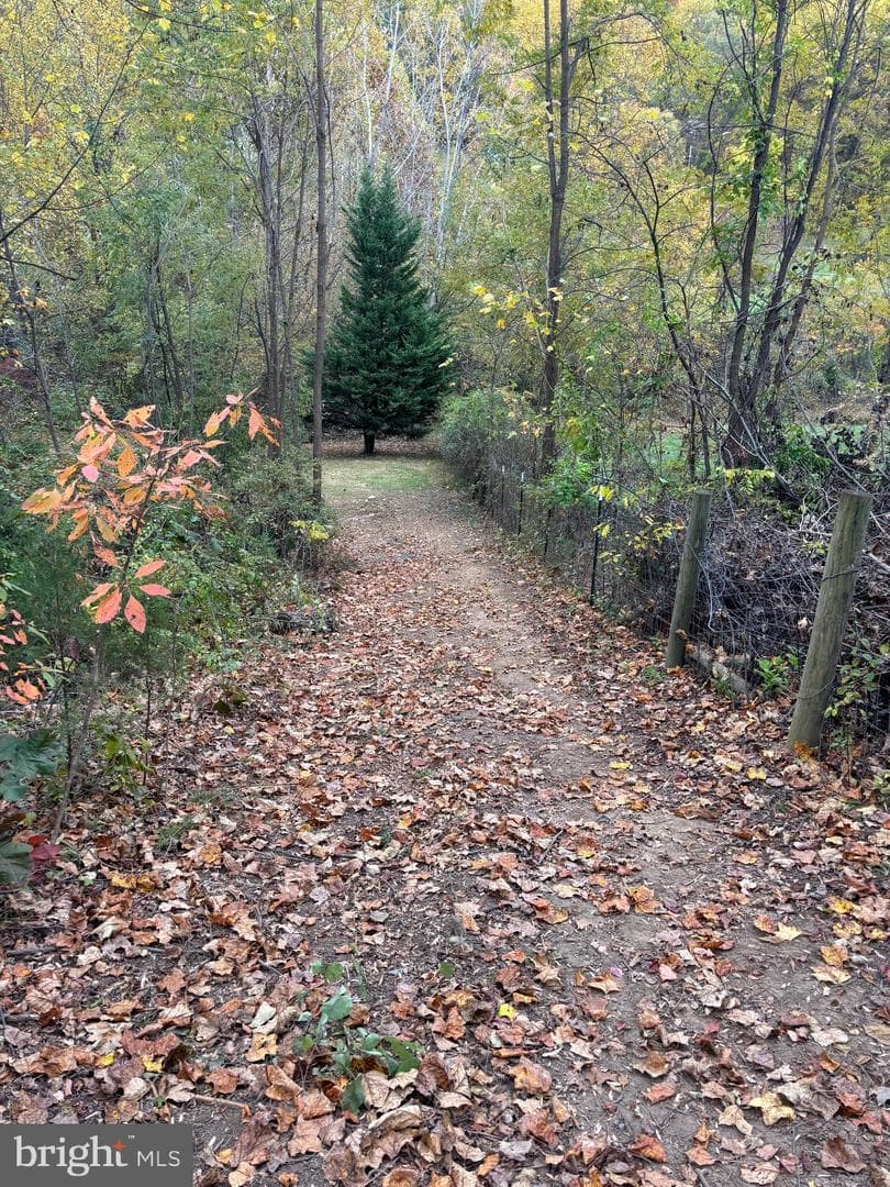 2037 Buck Mountain Road photo 55
