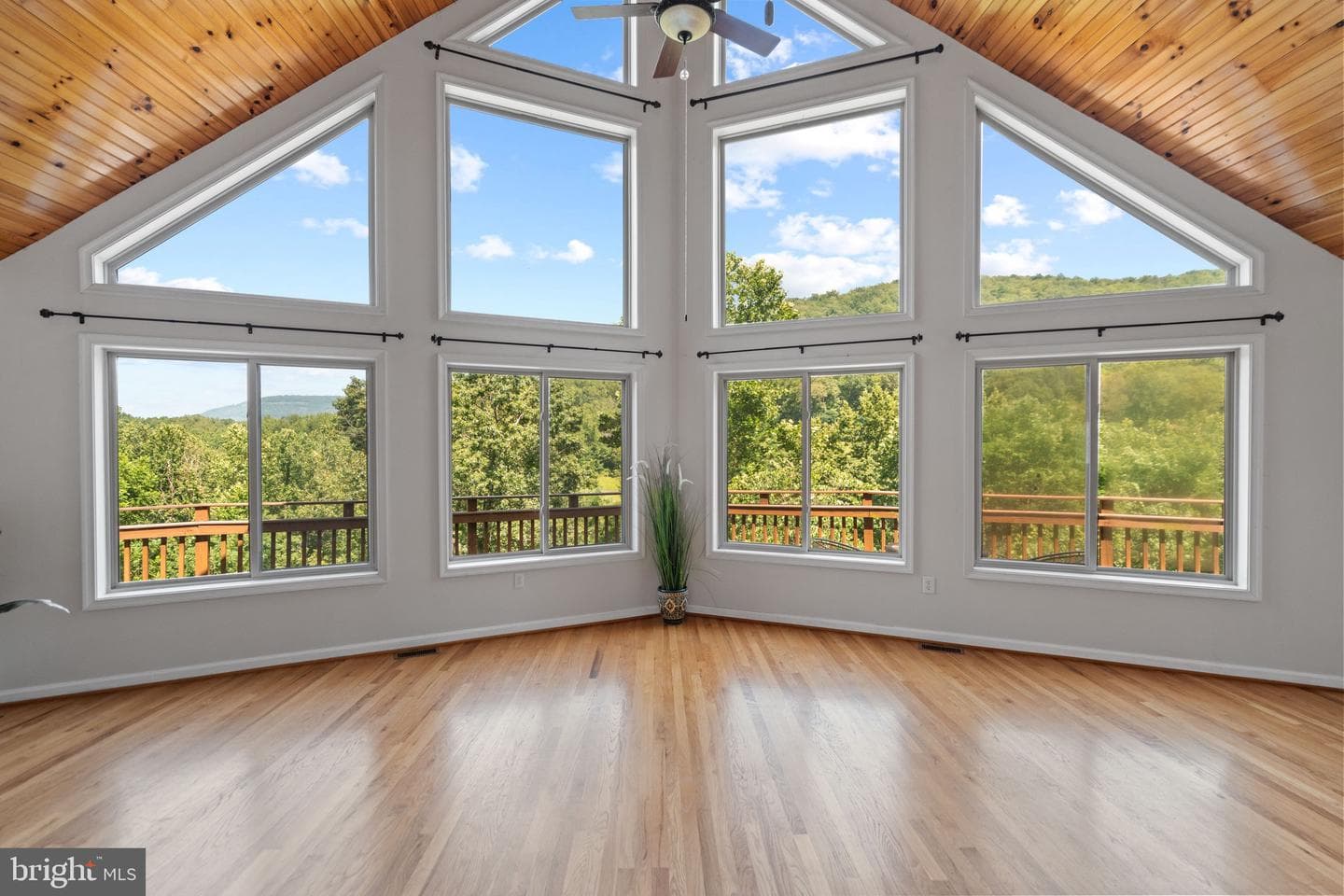 2037 Buck Mountain Road photo 6