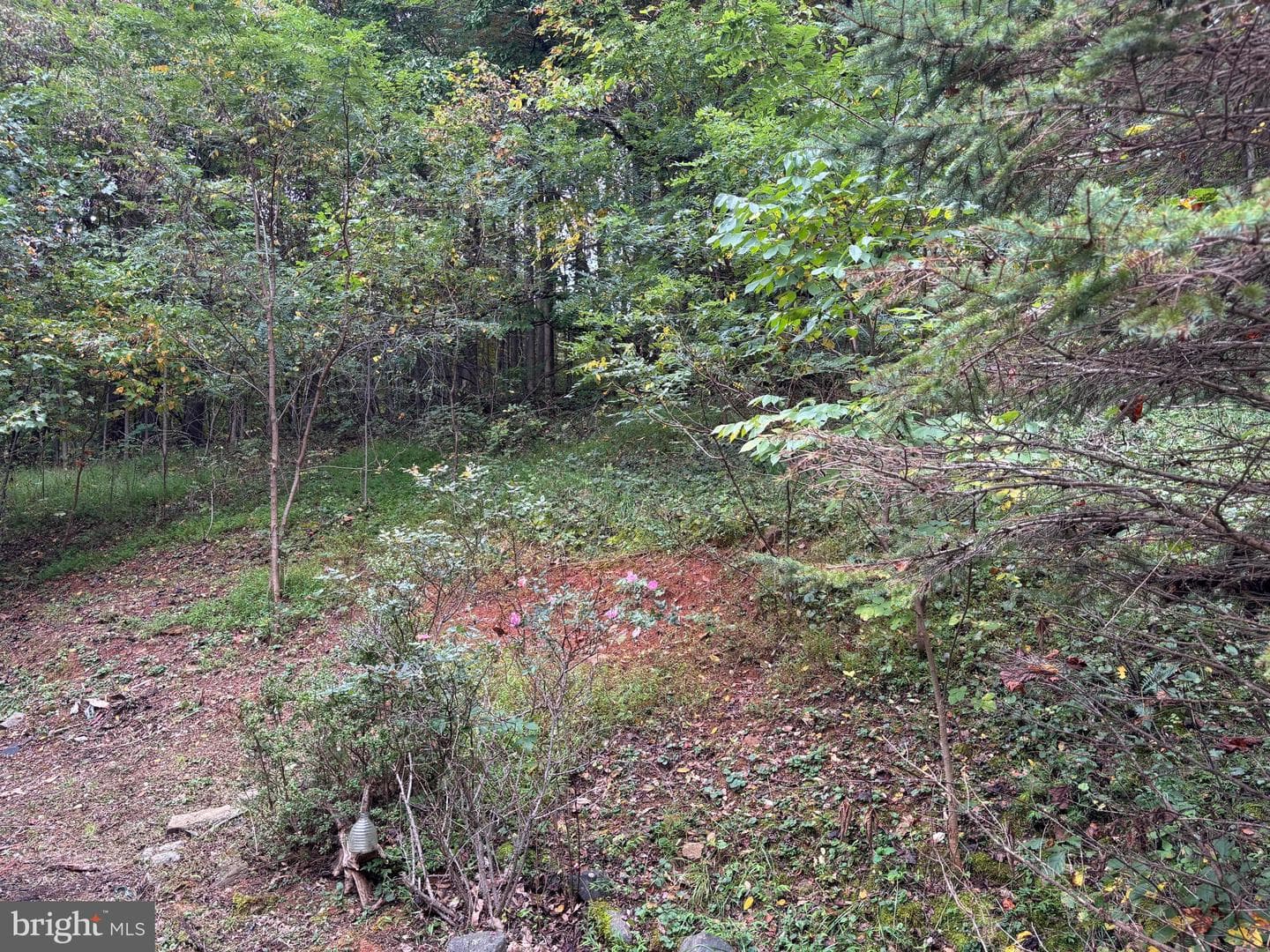 503 Pomeroy photo 24