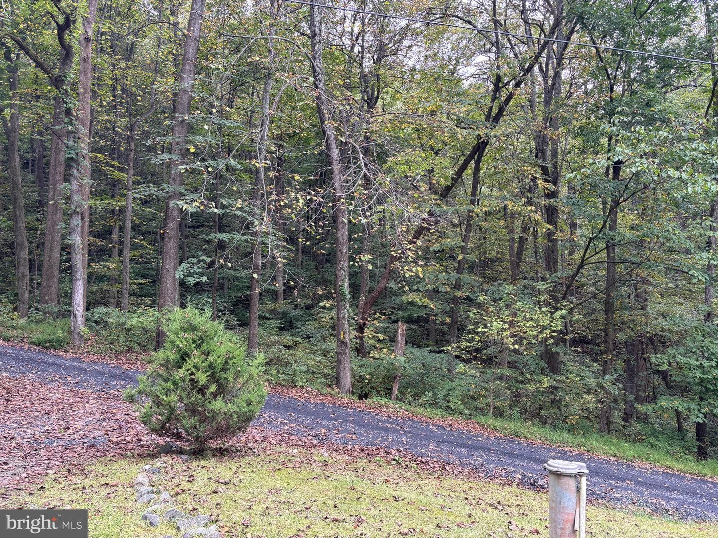503 Pomeroy photo 25