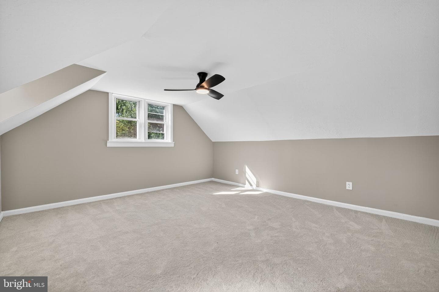 839 William Street photo 19
