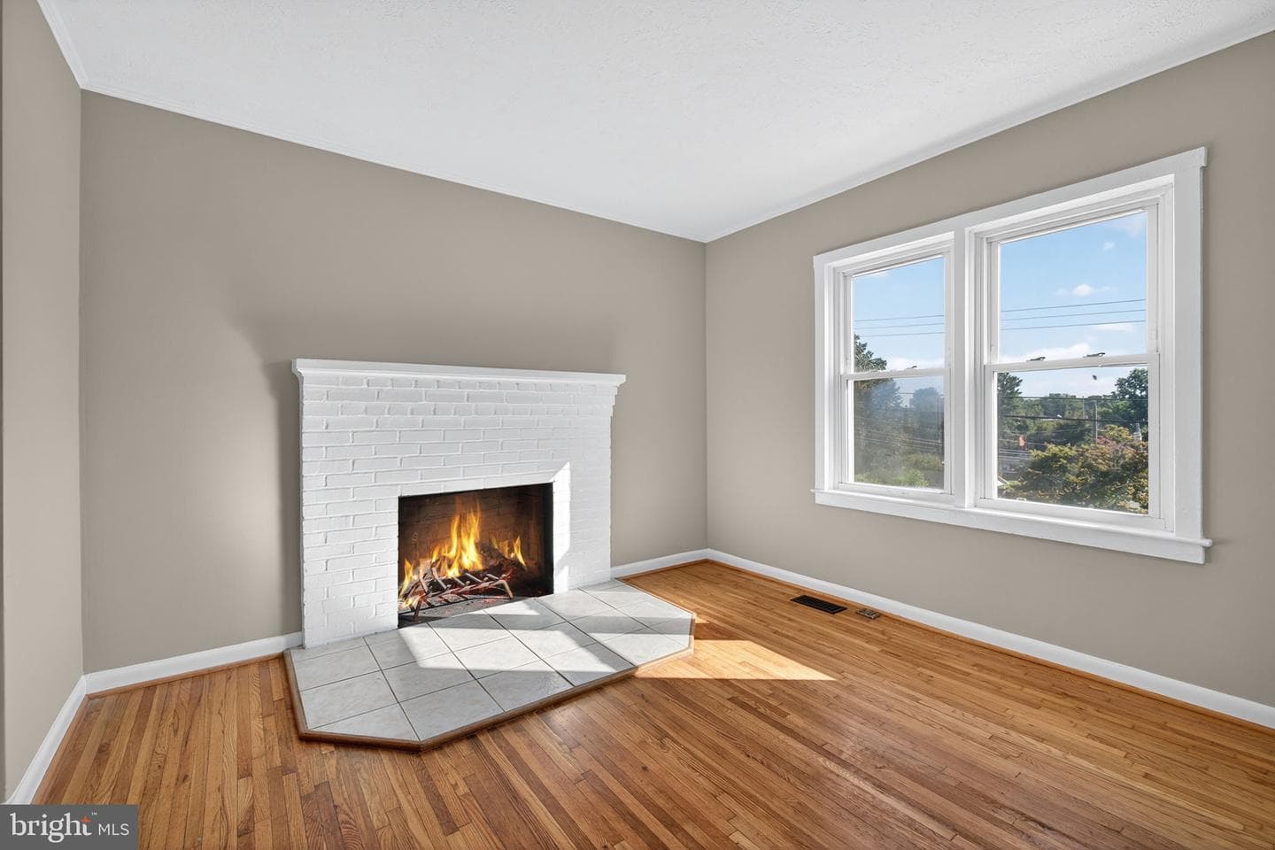 839 William Street photo 41
