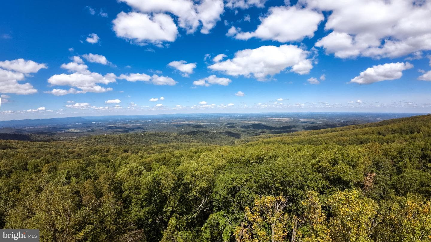 4769 Blue Mountain Road photo 2