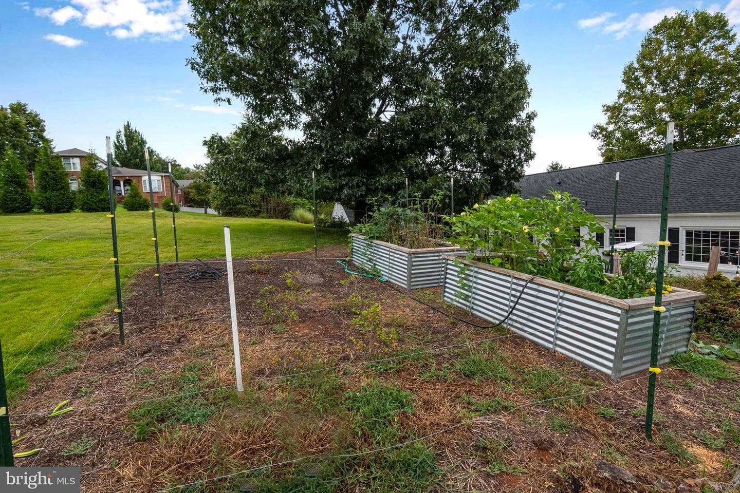 6 Massie Street photo 51