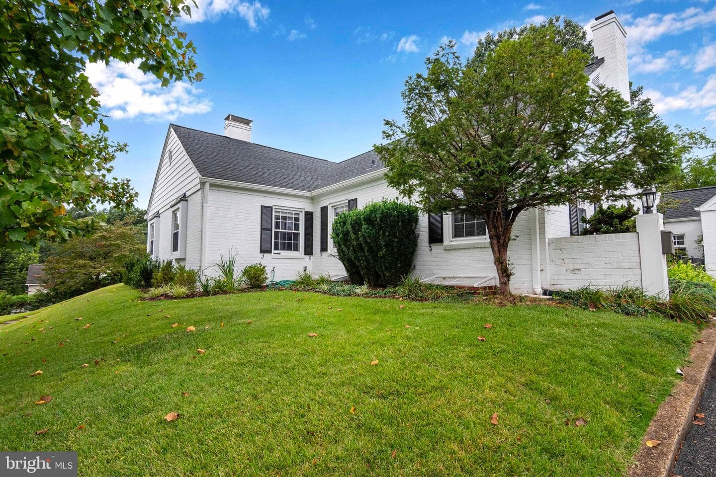 6 Massie Street photo 61