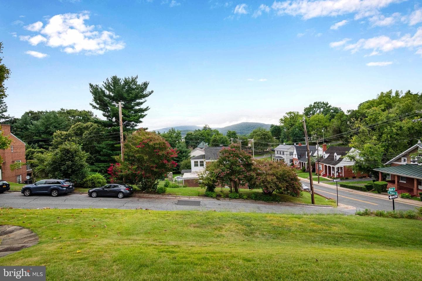 6 Massie Street photo 67