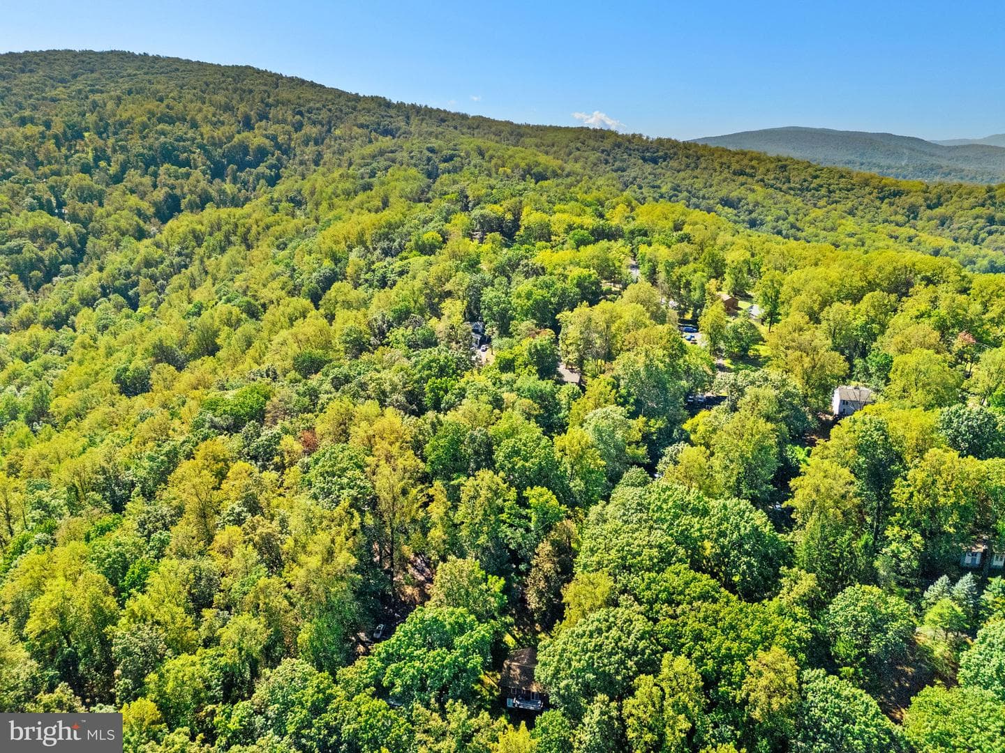 141 Pocahontas Road photo 61