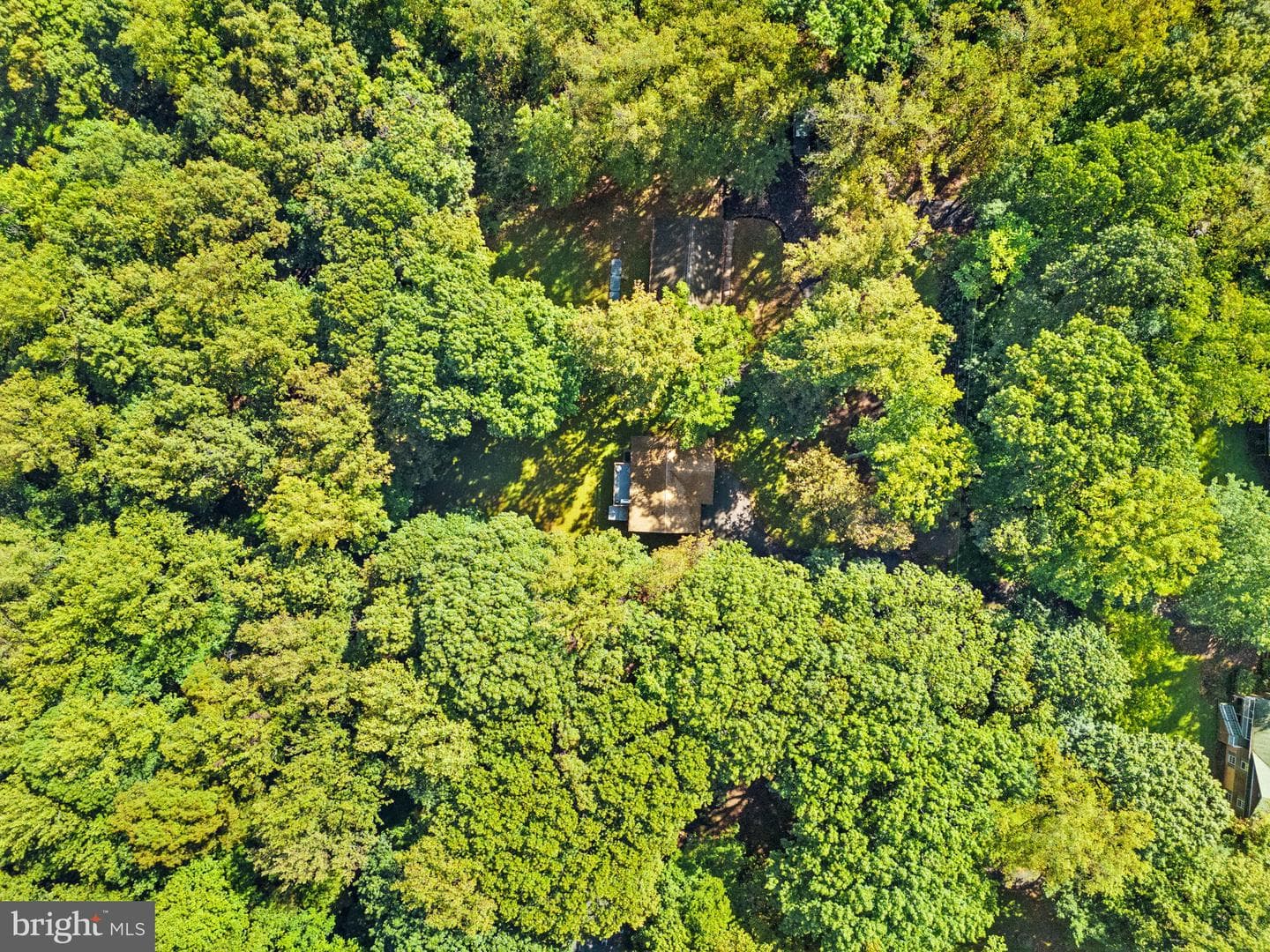 141 Pocahontas Road photo 64
