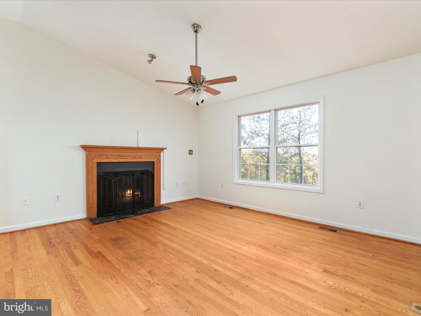 284 Tulip Poplar Drive photo 4