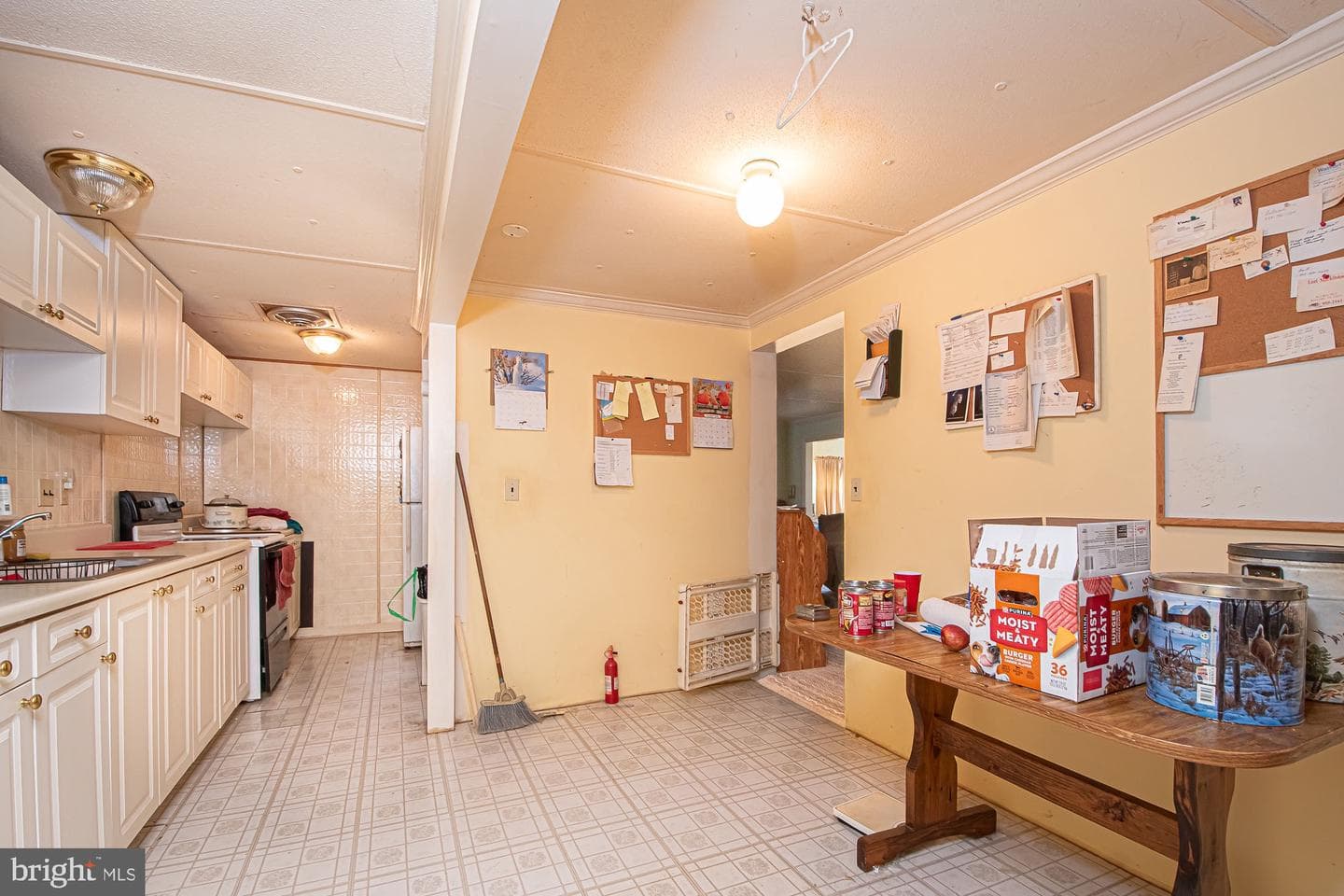 560 Youngs Drive photo 9