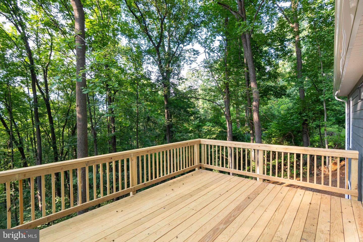 111 Bloodroot Road photo 24
