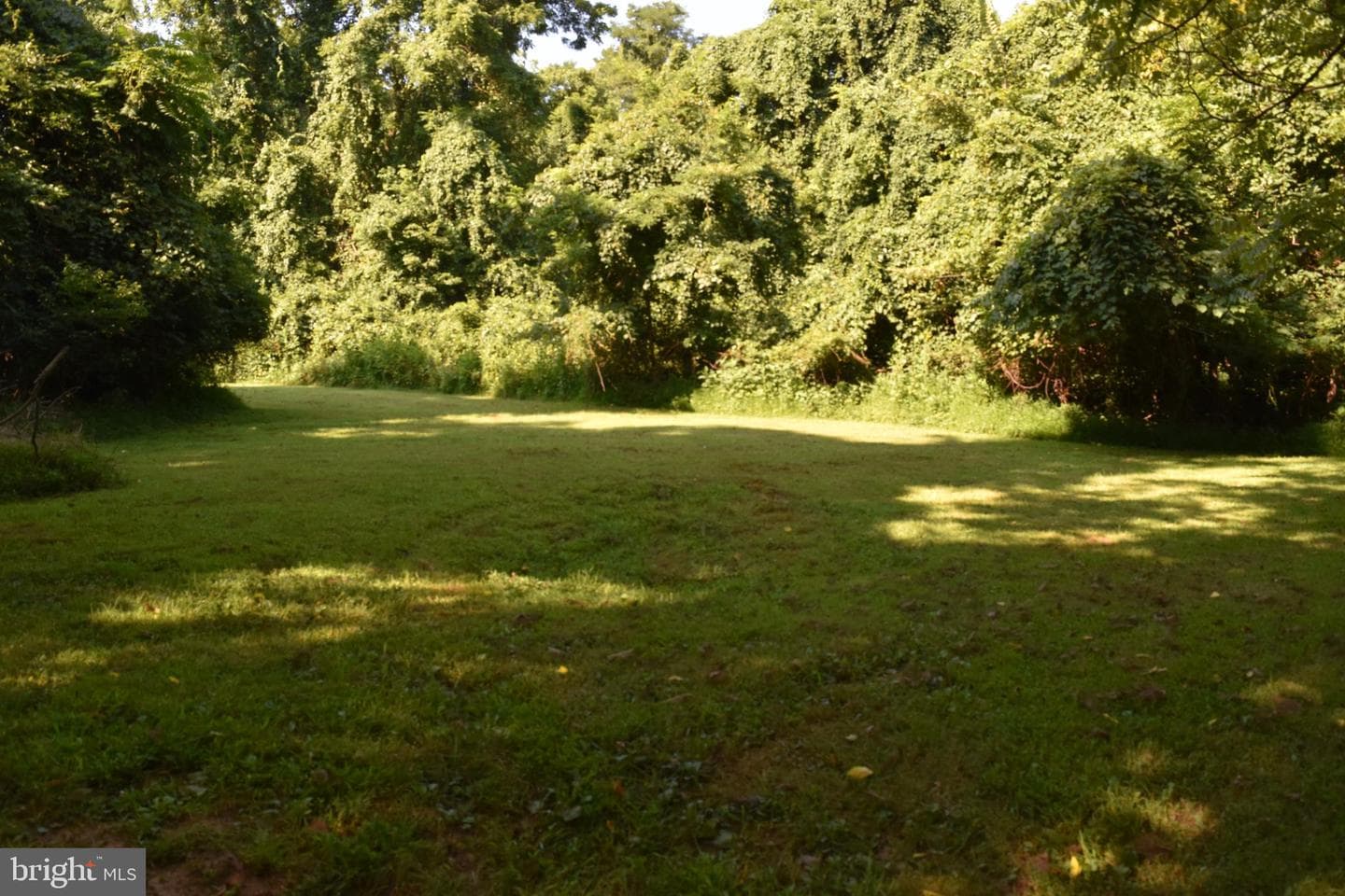 111 Bloodroot Road photo 62