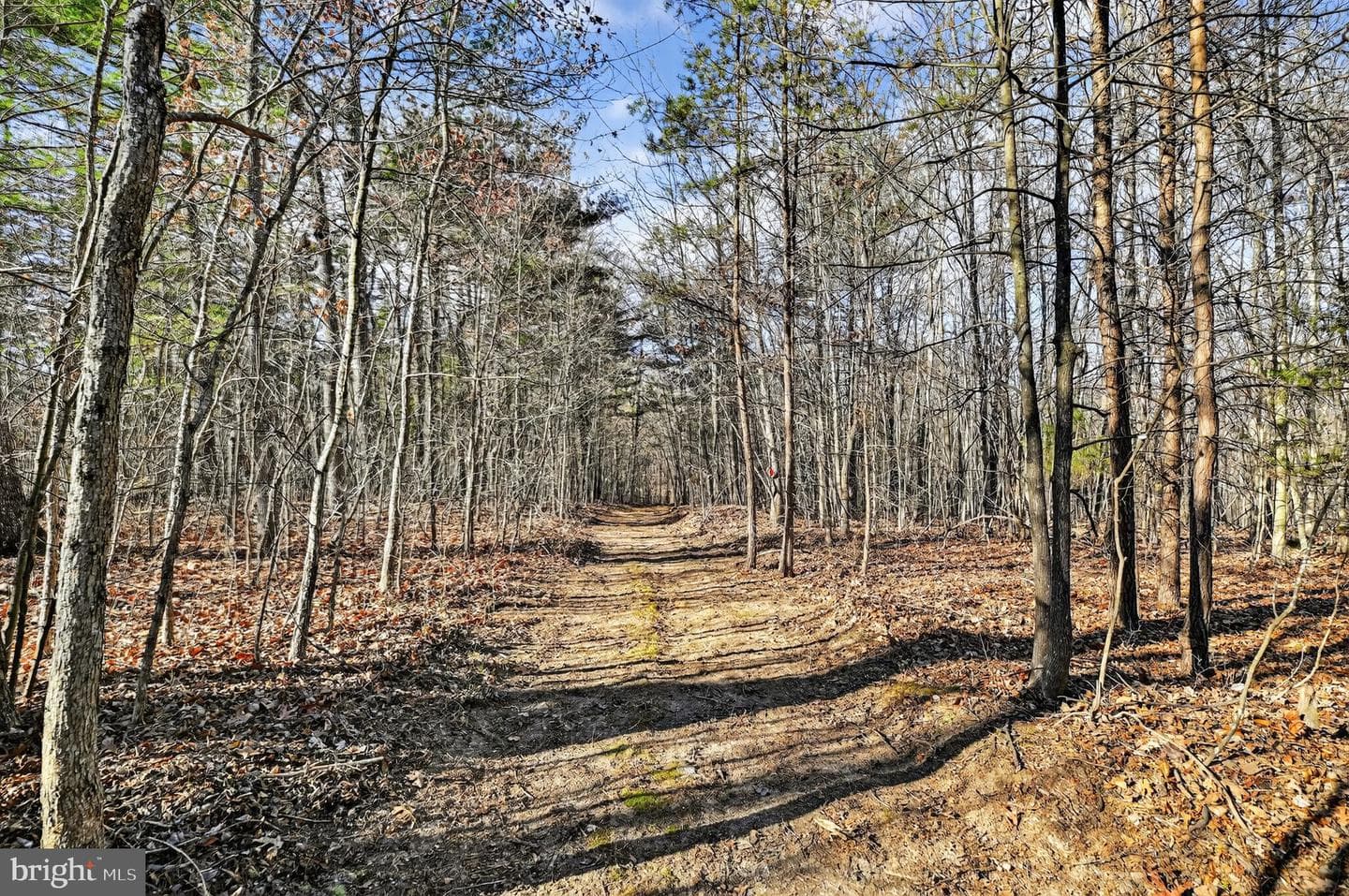 293 Penny Ann Lane photo 53