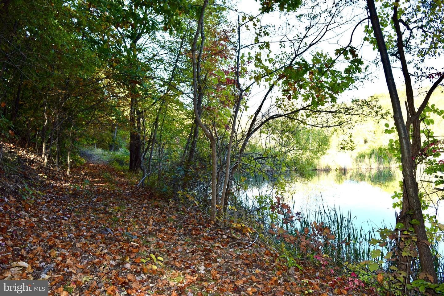 1767 Drummer Hill Road photo 29