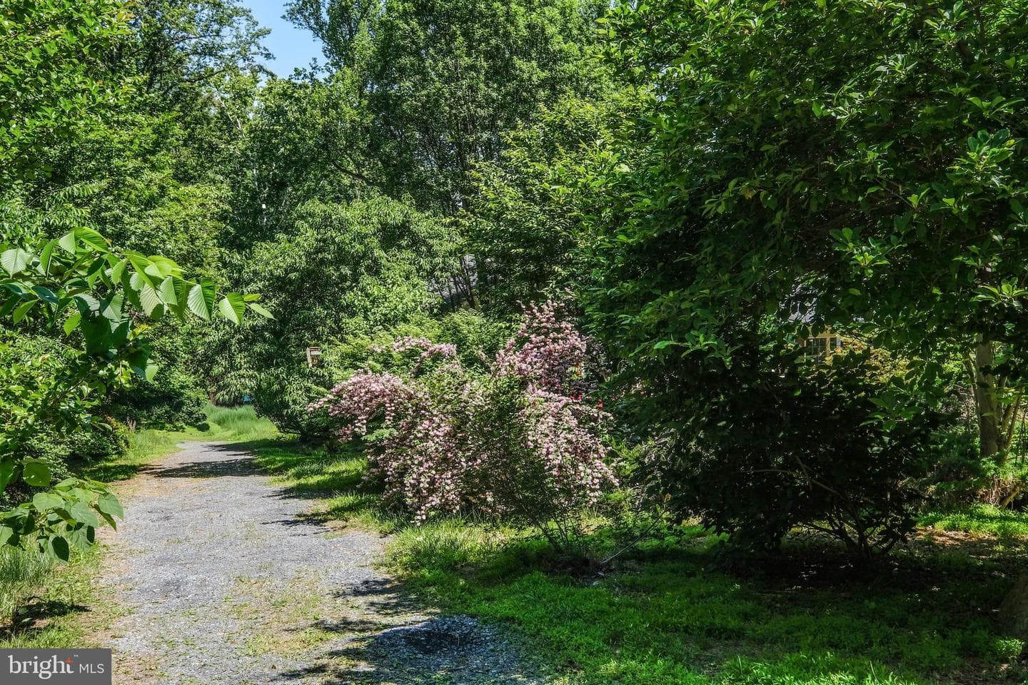 1195 Shangri La Road photo 58