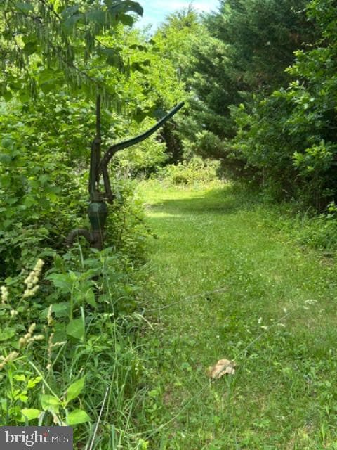 7525 Stonewall Jackson Highway photo 57