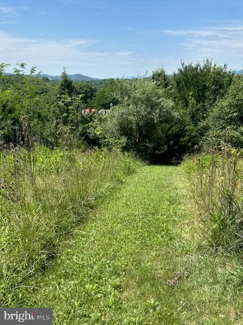7525 Stonewall Jackson Highway photo 58