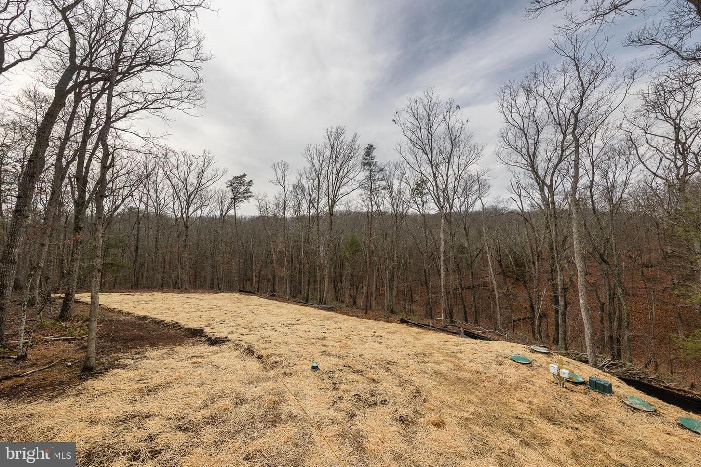 220 Lakeland Circle photo 51