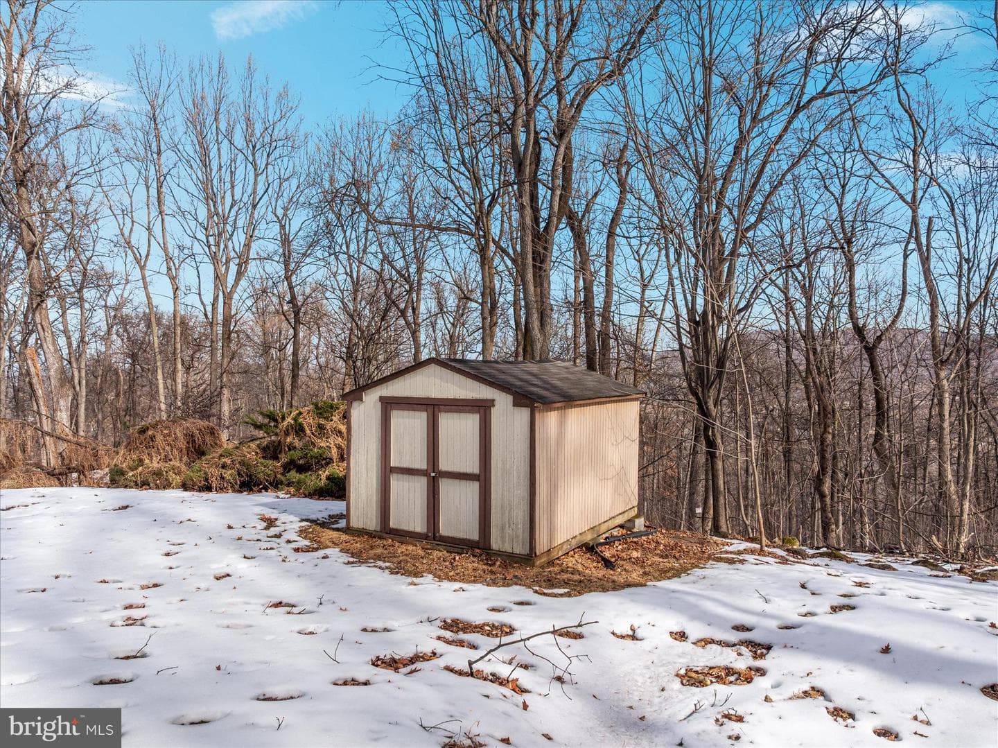 67 Pocahontas Road photo 43