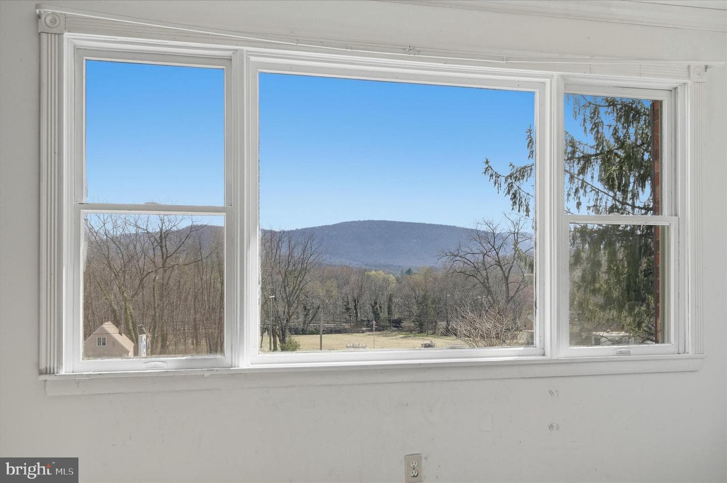42 Dogwood Lane photo 14